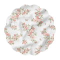 Dzika-Roza.png